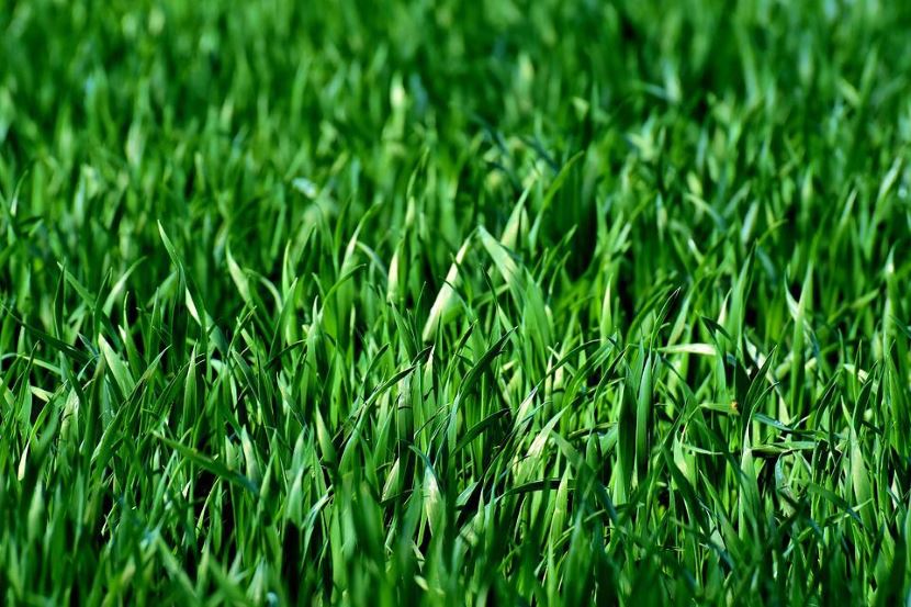 Sztuczna trawa na boisko – jak wybrać najlepszy materiał?