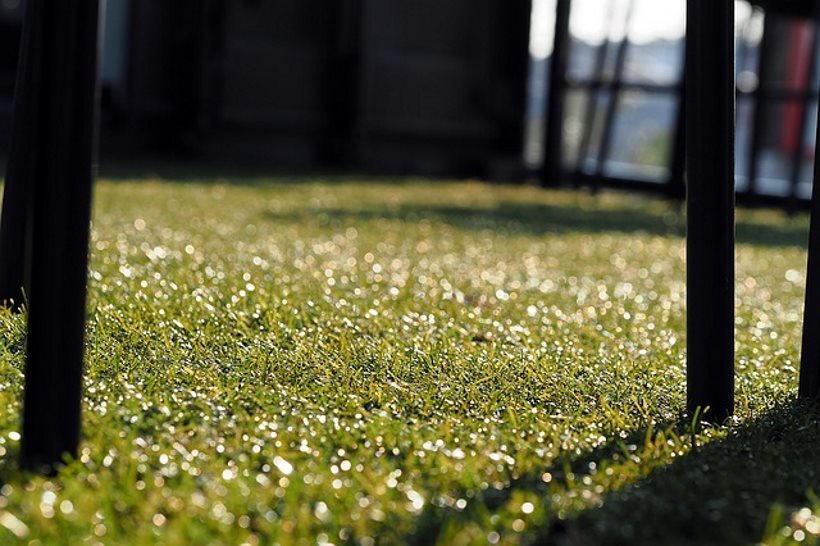 sztuczna trawa sprawdza się lepiej niż jej naturalny odpowiednik