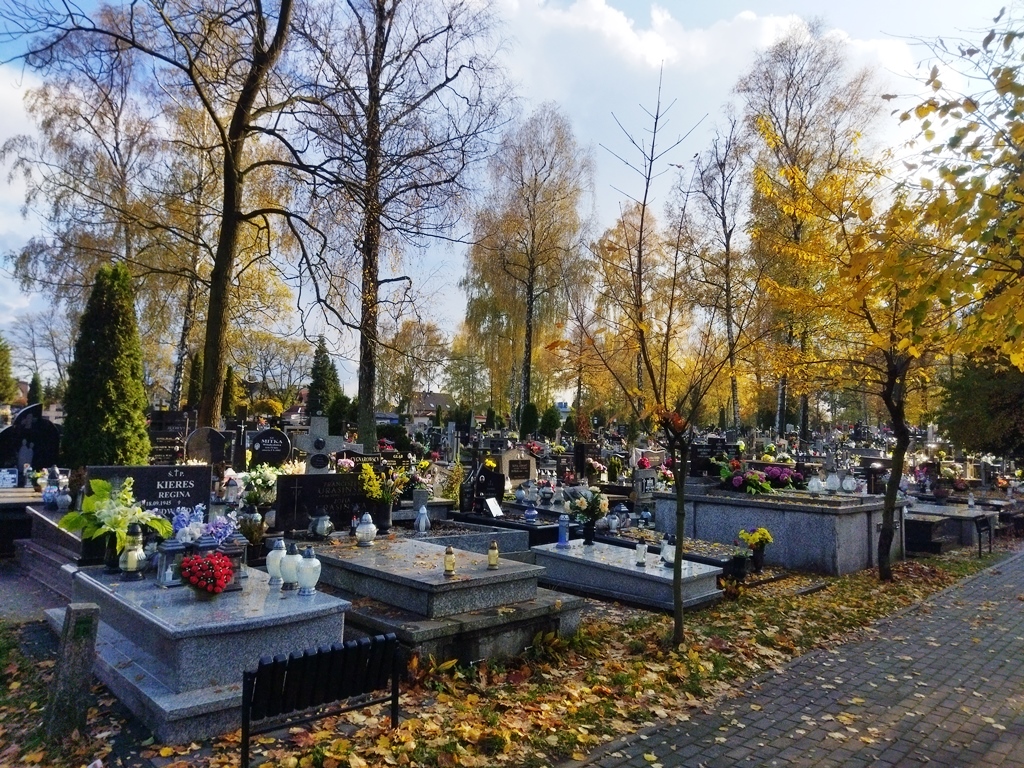 Widok cmentarza jesienią