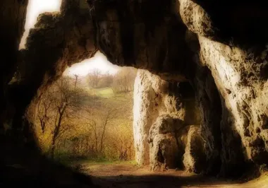 Wypalanie traw w Wolbromiu – zagrożenie dla przyrody, zdrowia i portfela