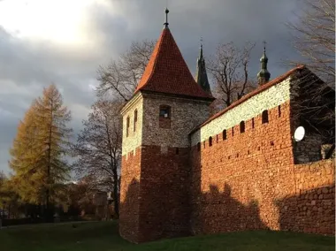 Uczniowie z Olkusza sprawdzą się w konkursie o czyste powietrze