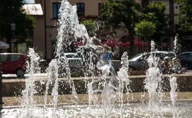 Szutrowe odcinki Velo Pustynia uszkodzone podczas prac ochrony przyrody
