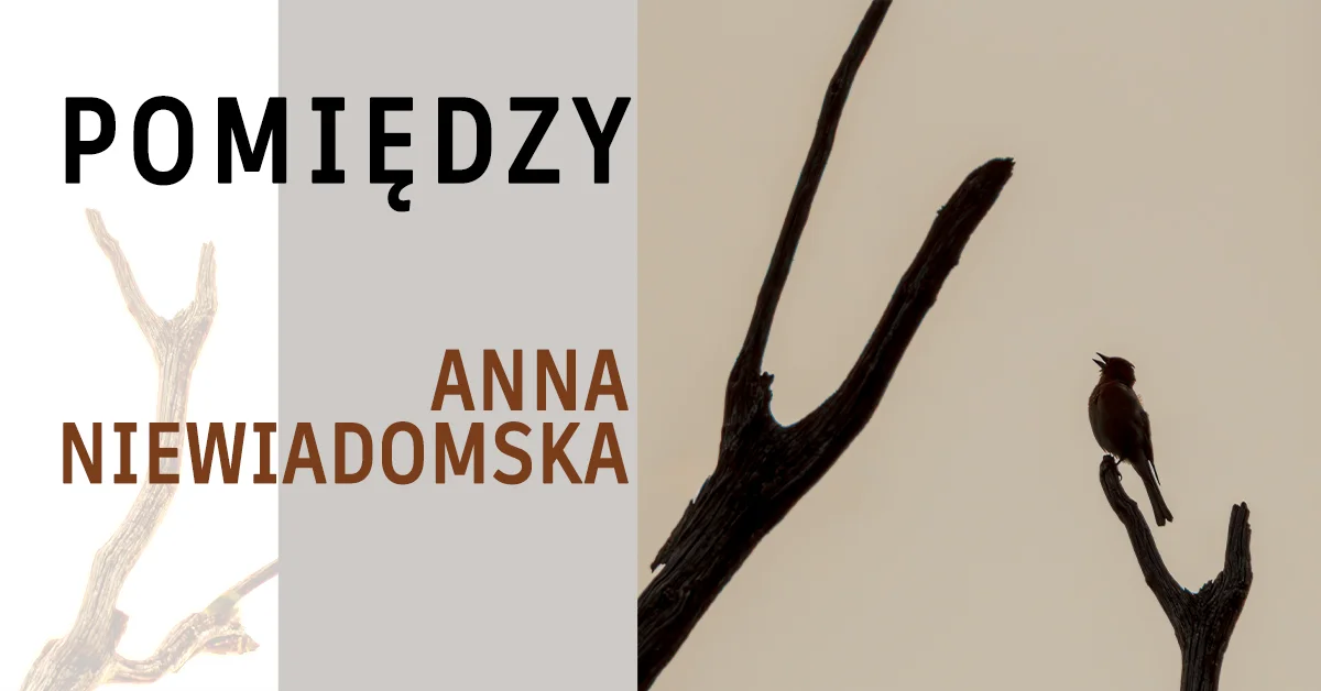 Grafika promocyjna wydarzenia Wystawa fotografii przyrodniczej Anny Niewiadomskiej w Olkuszu
