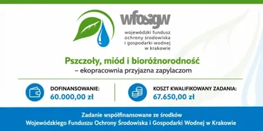 W Jaroszowcu powstanie ekopracownia. Pszczoły będą częścią lekcji