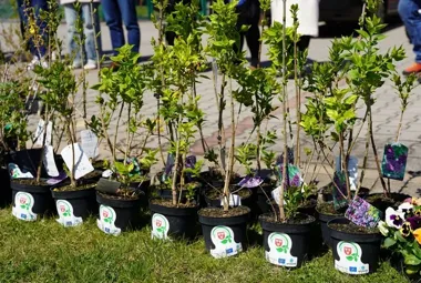 Lekcja o klimacie wyszła poza klasę. Dzieci zobaczyły przyrodę z bliska