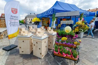 Dziesięć lat ratowania pszczół. Olkusz świętował jubileusz zielonej akcji