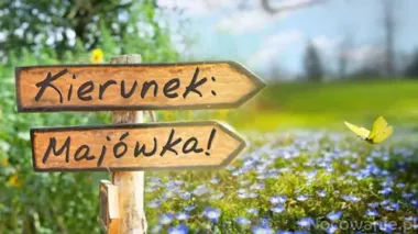 Majówka zmienia rozkład autobusów. ZKGKM podał plan na trzy dni
